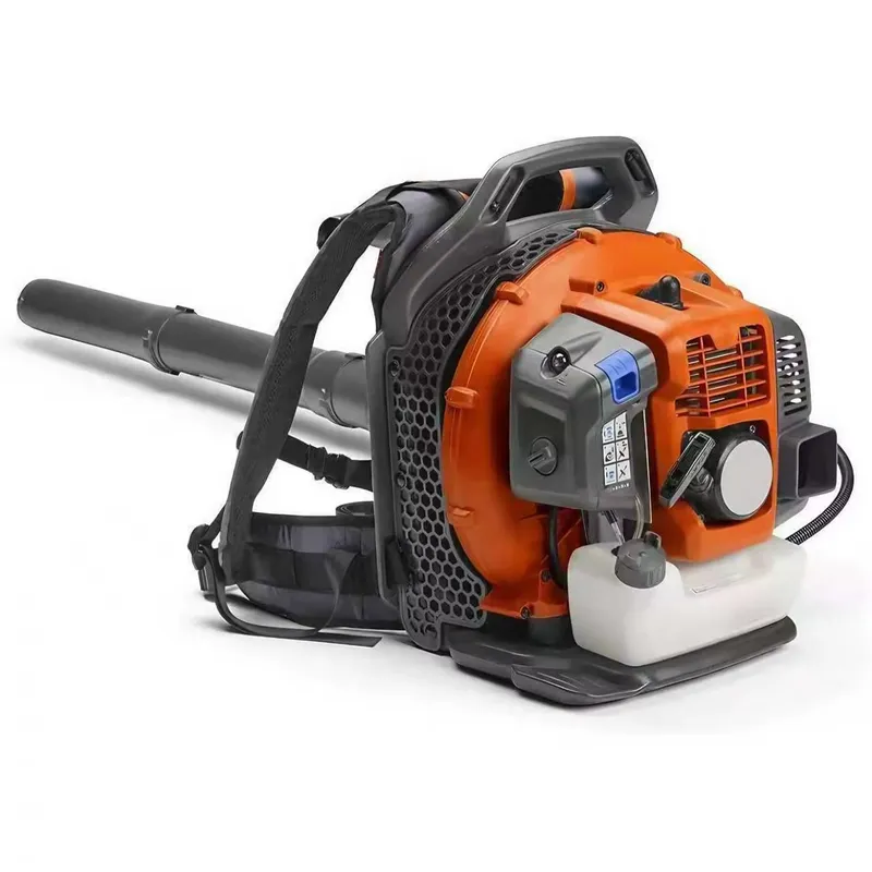 Gardening Tools Price - Soffiatore Portatile a Zaino per Lavori