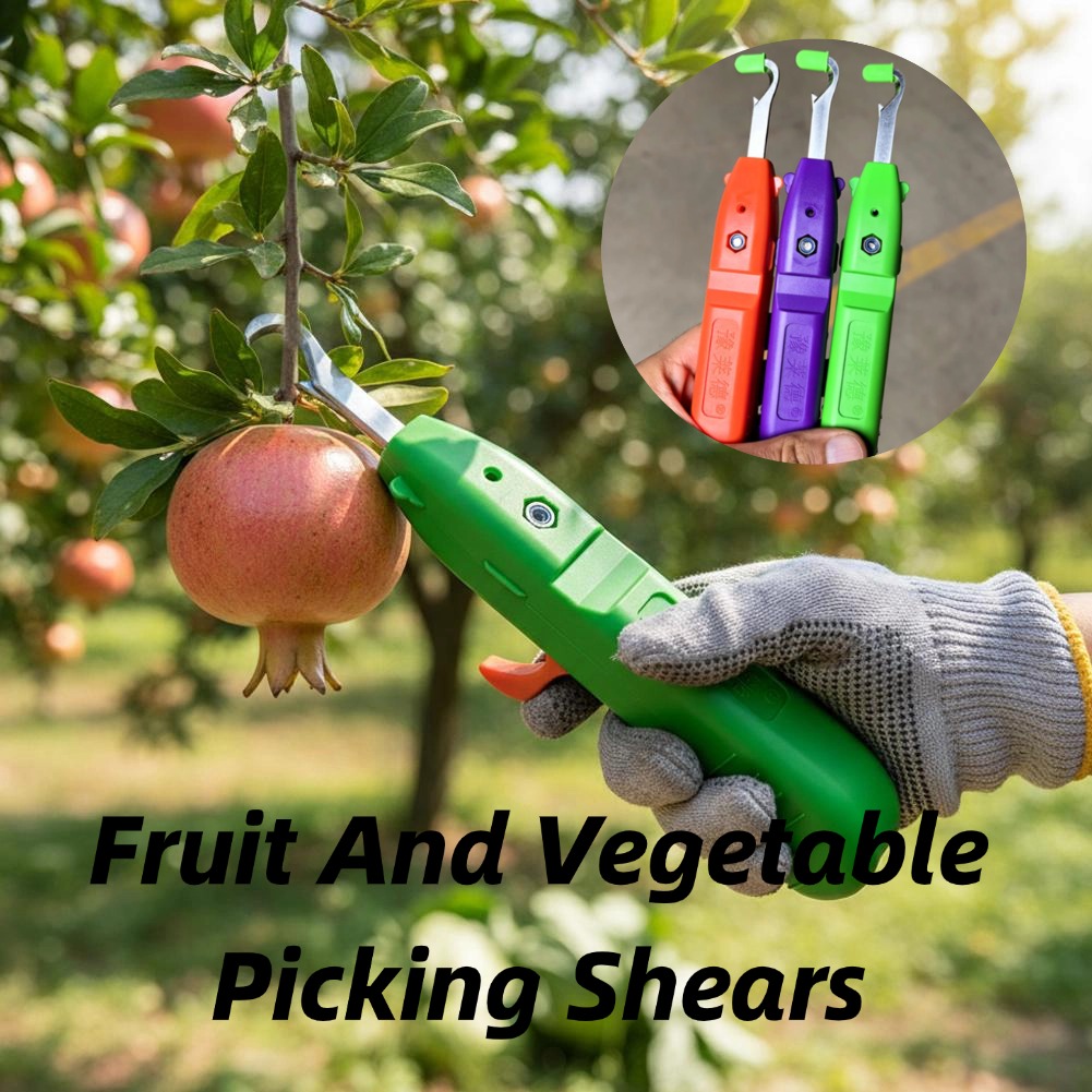 Gardening Tools Basic - Forbici per la Raccolta di Frutta