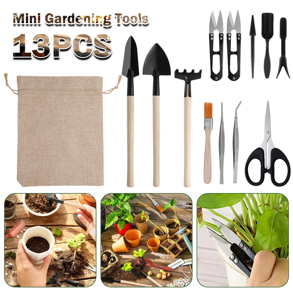 Gardening Tools Sale - Set di attrezzi per piante succulente