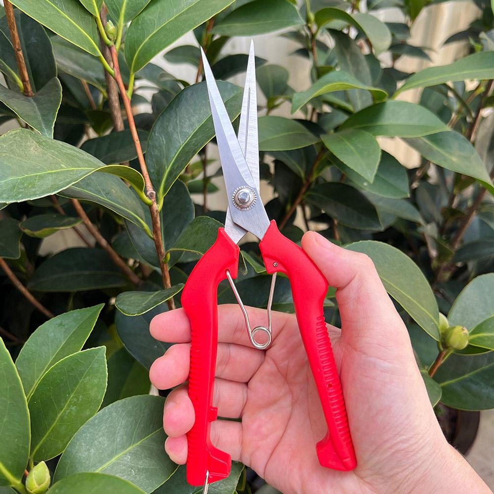 Gardening Tools Basic - Forbici da Potatura Professionali per Giardino,