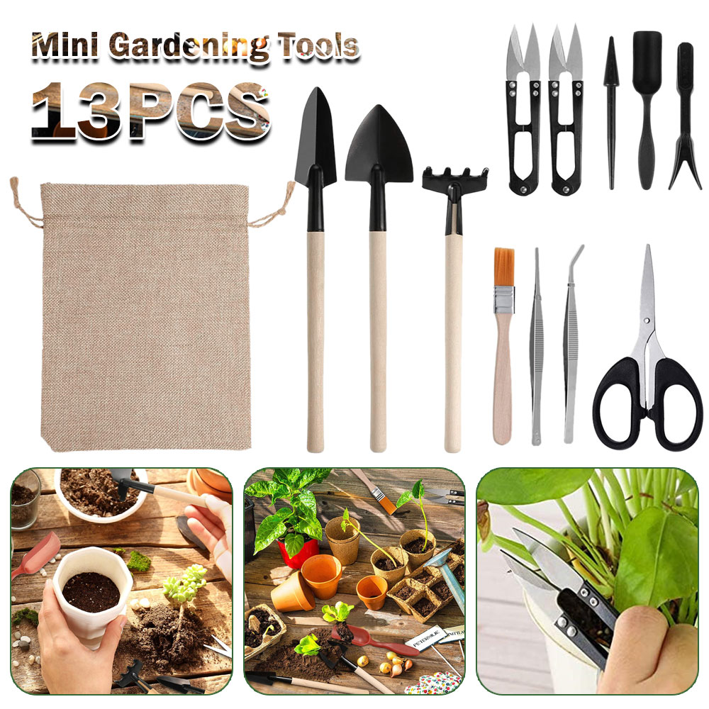 Gardening Tools Sale - Strumenti per piante grasse Mini utensili