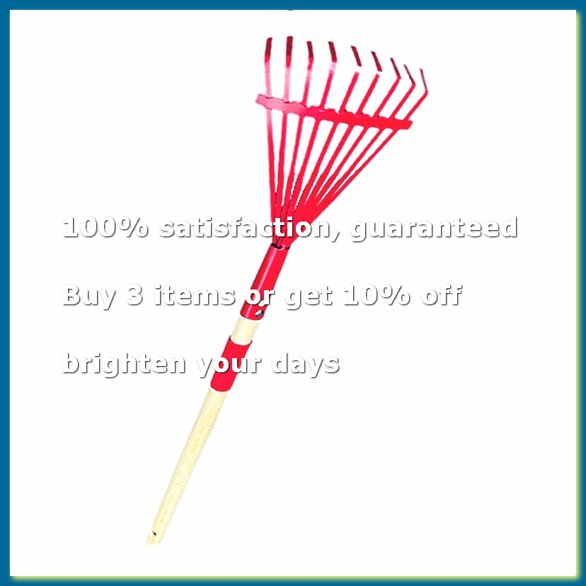 Rastrello per bambini con mani - Gardening Tools For 3 Year Old recensione e prezzo