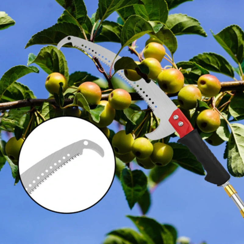 Seghe manuali telescopiche a r - Gardening Tools Sale recensione e prezzo