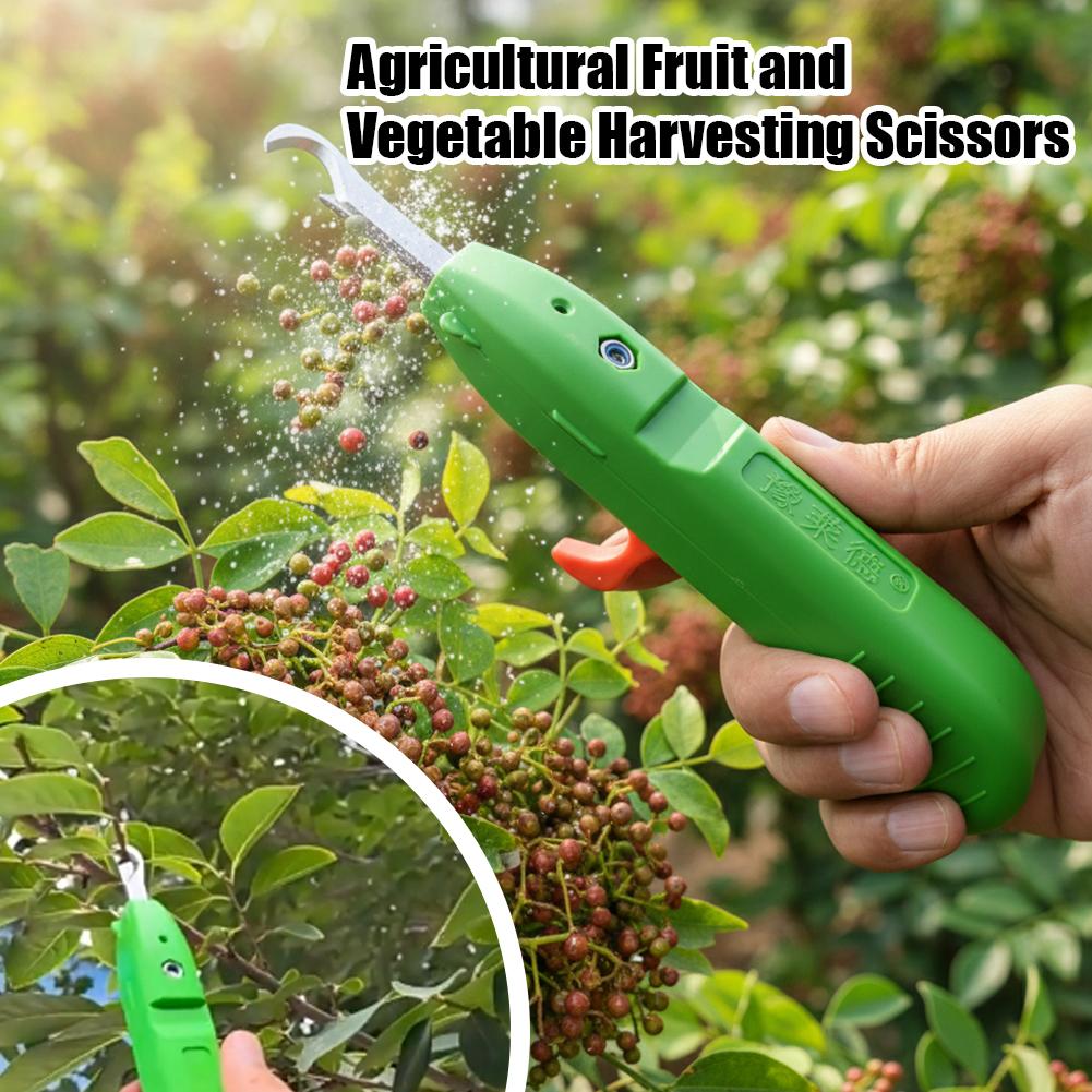 Forbici per la Raccolta di Fru - Gardening Tools Basic recensione e prezzo