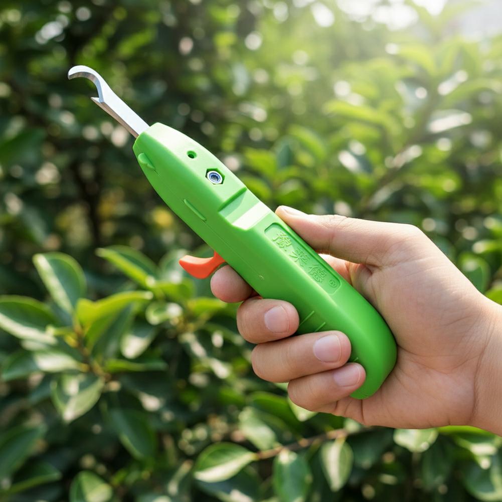 Forbici per la Raccolta di Fru - Gardening Tools Basic recensione e prezzo