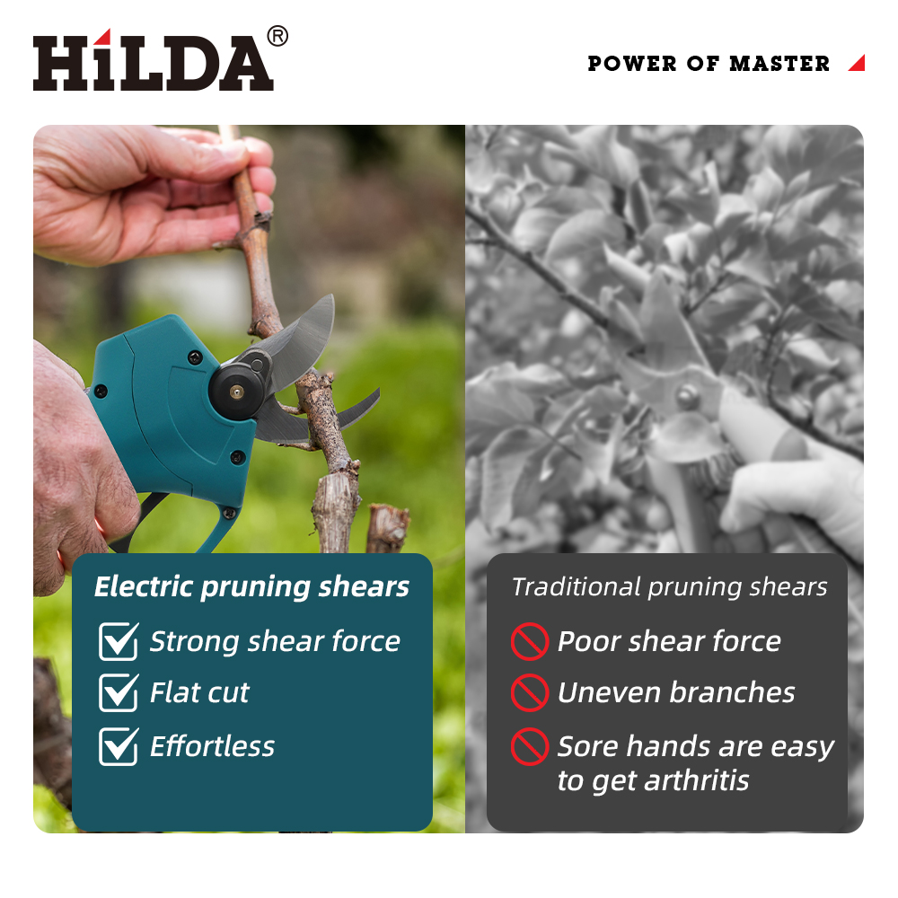 Forbici Elettriche Senza Fili  - Gardening Tools Basic recensione e prezzo