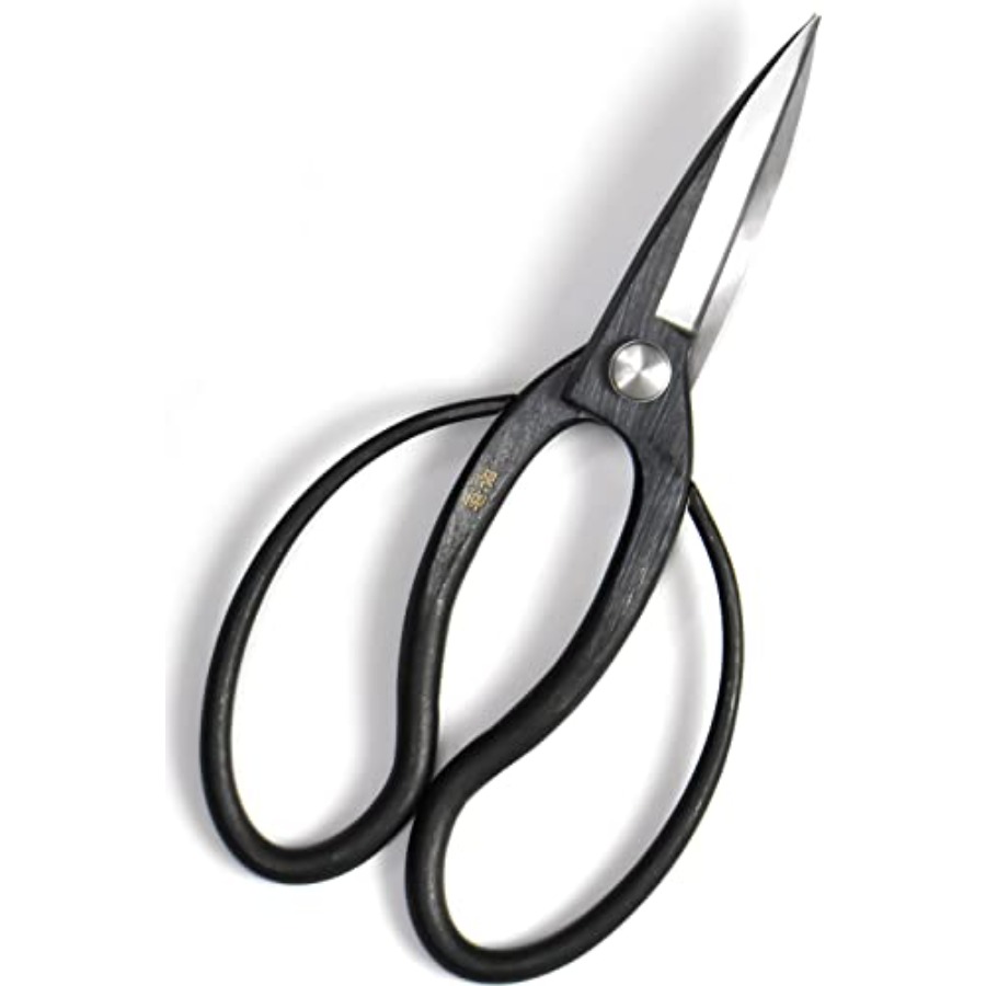 Forbici Giapponesi per Bonsai  - Gardening Tools Made In Japan recensione e prezzo