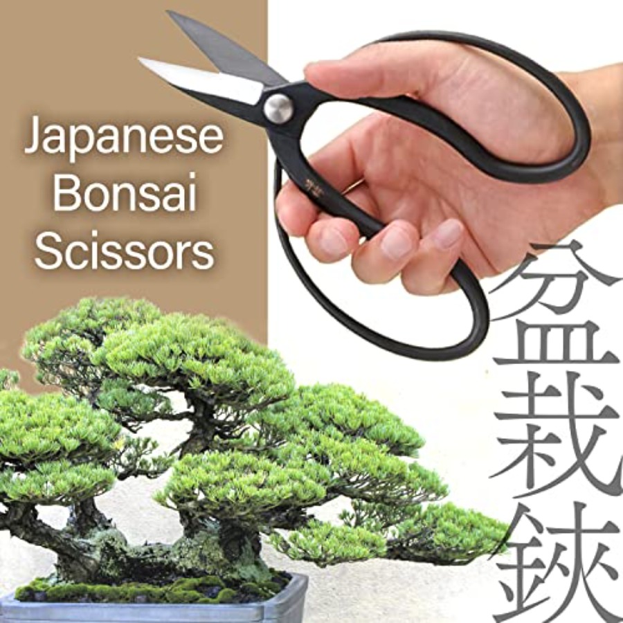 Forbici Giapponesi per Bonsai  - Gardening Tools Made In Japan recensione e prezzo