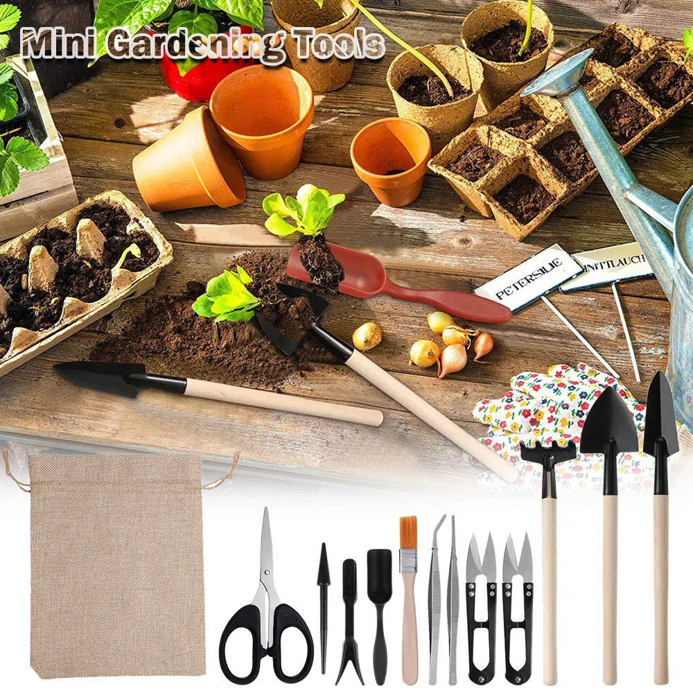 Set di attrezzi per piante suc - Gardening Tools Sale recensione e prezzo