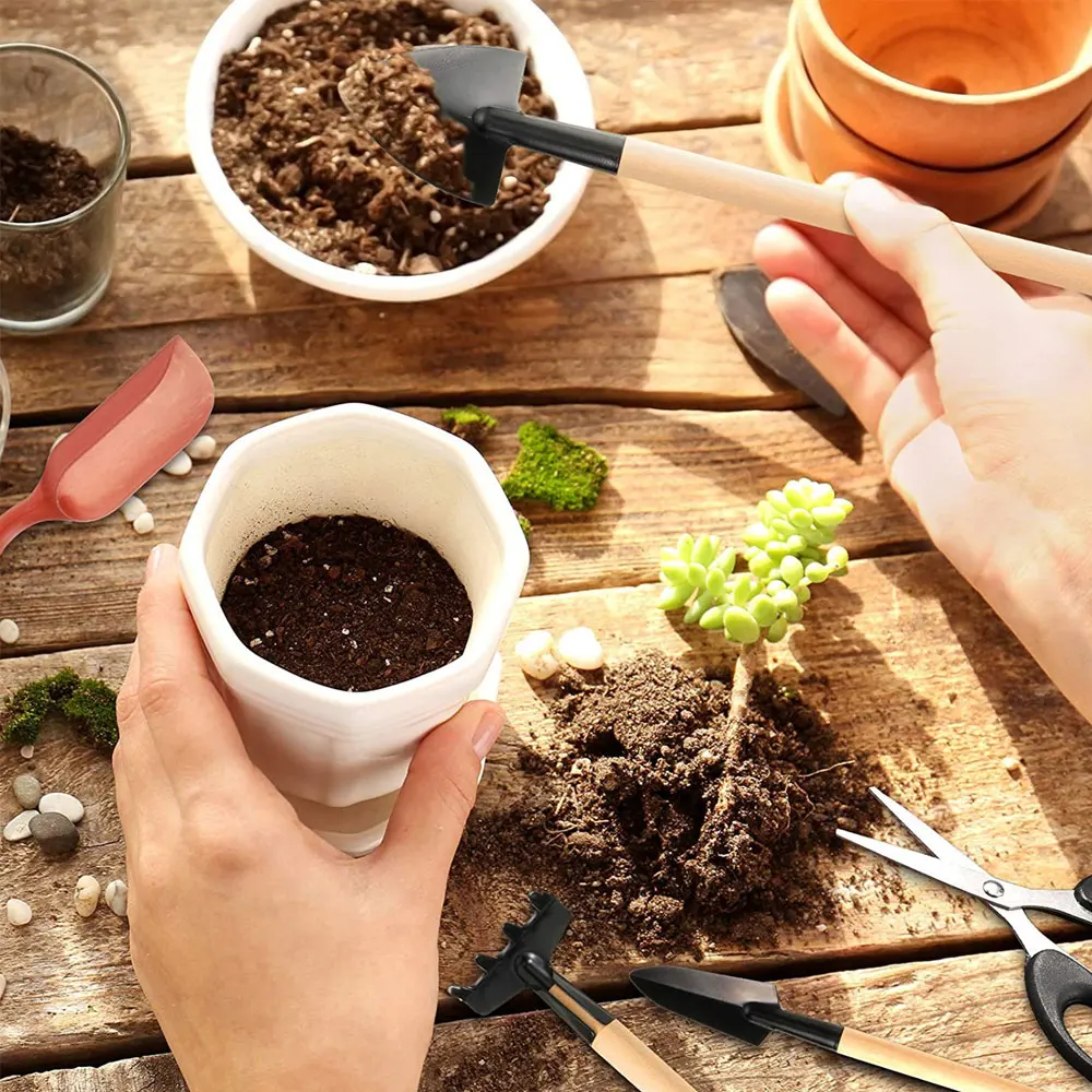 Set di attrezzi per piante suc - Gardening Tools Sale recensione e prezzo