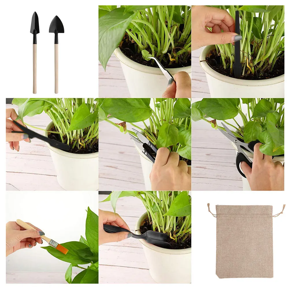 Set di attrezzi per piante suc - Gardening Tools Sale recensione e prezzo