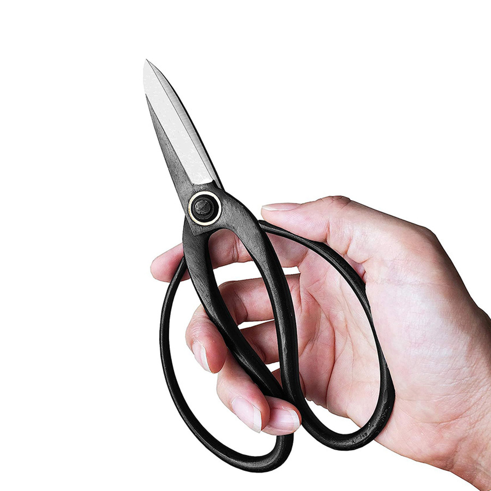 Forbici professionali per bons - Gardening Tools Sale recensione e prezzo