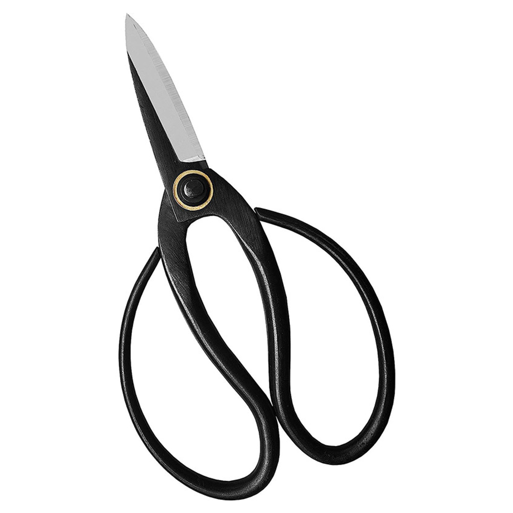 Forbici professionali per bons - Gardening Tools Sale recensione e prezzo