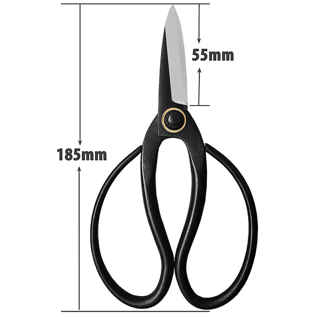 Forbici professionali per bons - Gardening Tools Sale recensione e prezzo