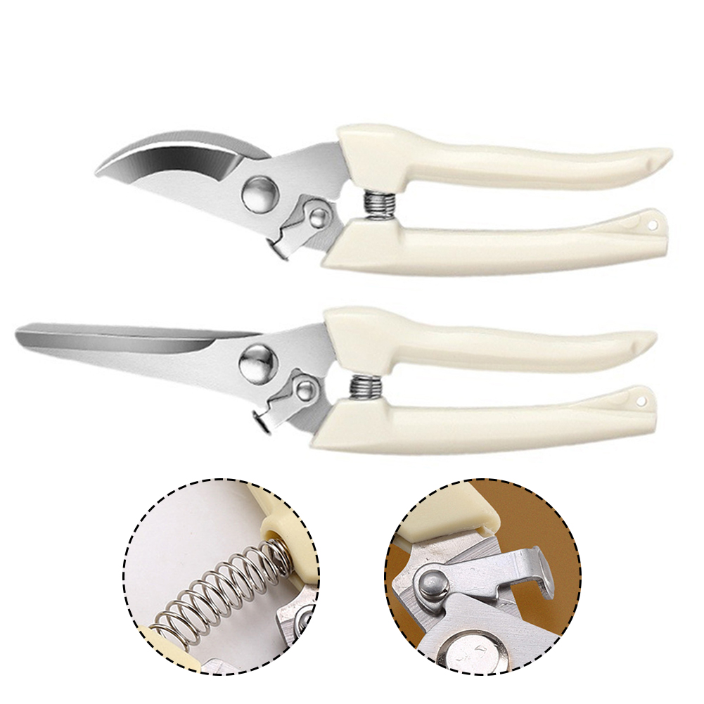Cesoie da potatura Utensili ma - Gardening Tools Sale recensione e prezzo