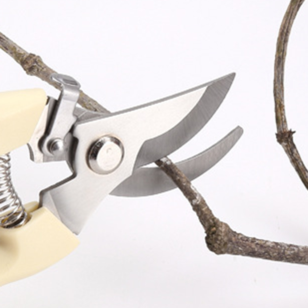 Cesoie da potatura Utensili ma - Gardening Tools Sale recensione e prezzo