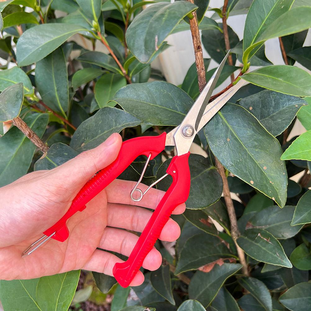 Forbici da Potatura Profession - Gardening Tools Basic recensione e prezzo