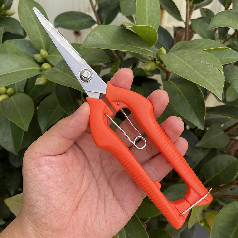 Forbici da Potatura Profession - Gardening Tools Basic recensione e prezzo