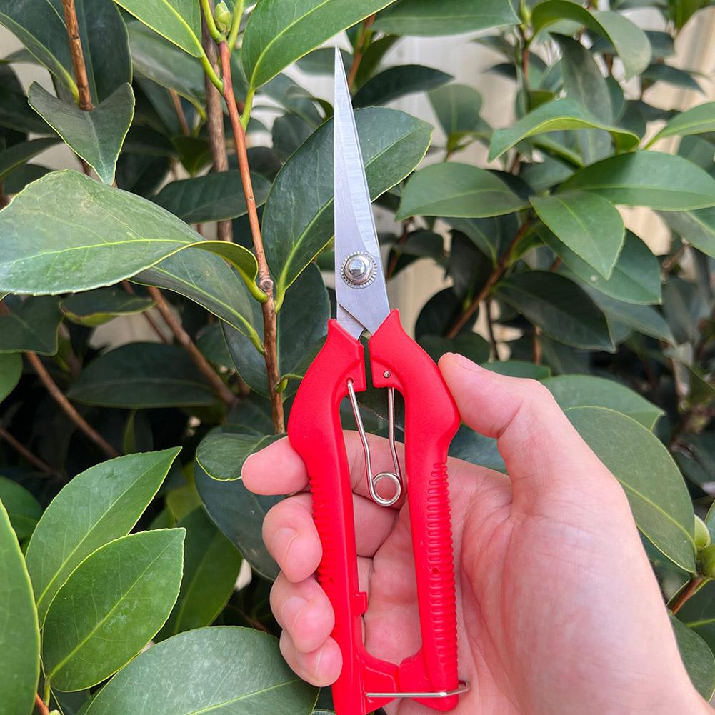 Forbici da Potatura Profession - Gardening Tools Basic recensione e prezzo
