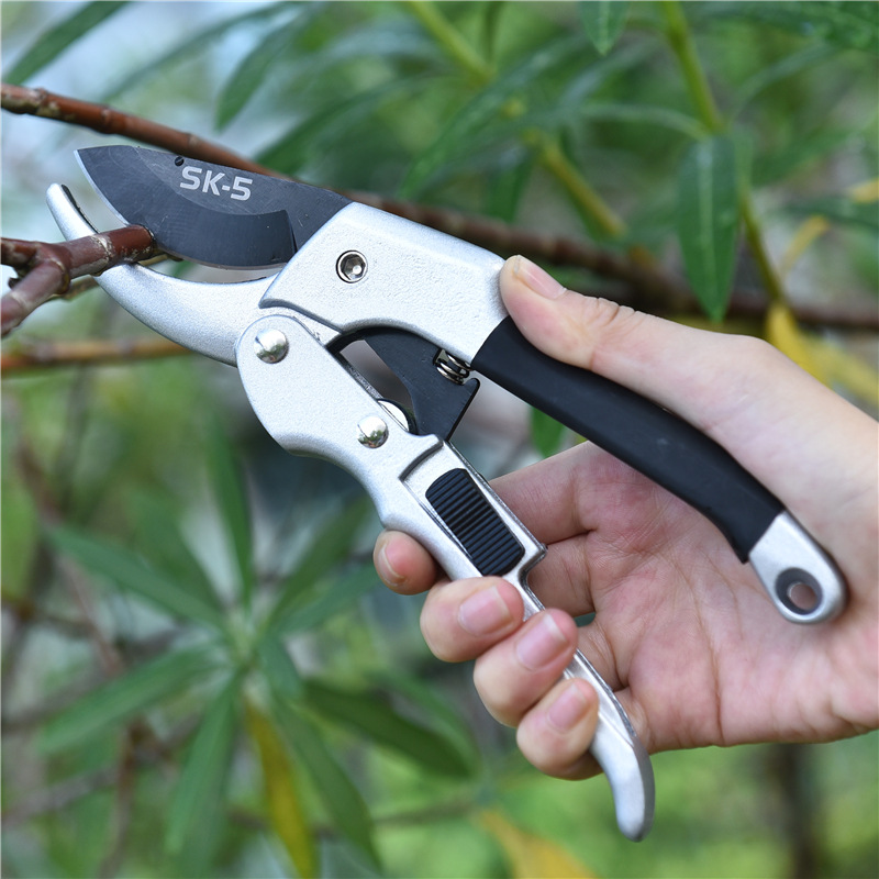 Nuovo 20 centimetri Ratchet Pi - Garden Hand Trowel recensione e prezzo
