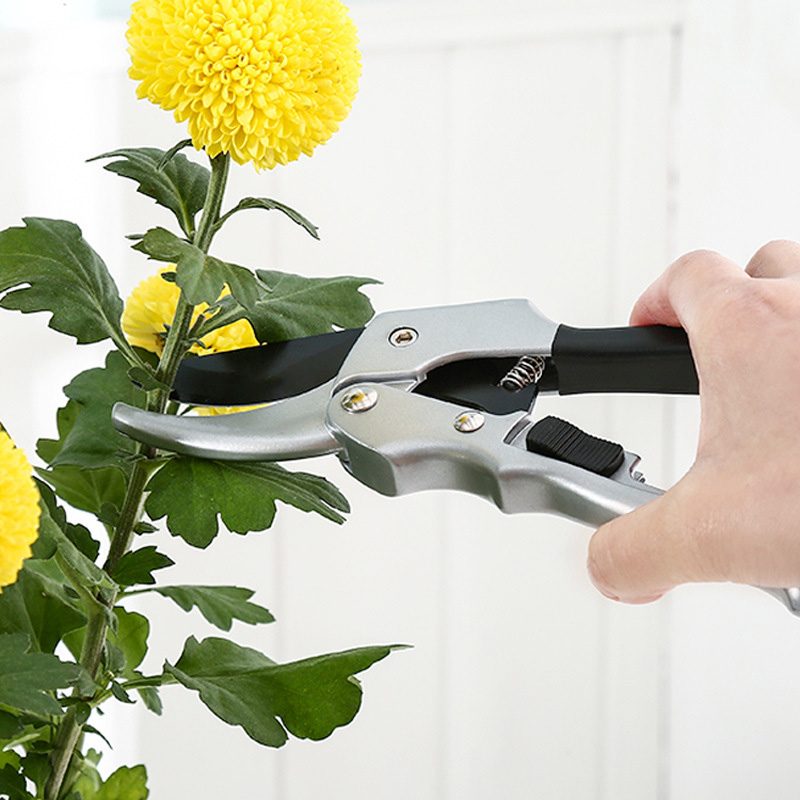 Nuovo 20 centimetri Ratchet Pi - Garden Hand Trowel recensione e prezzo