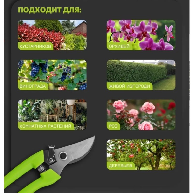 【PREZZO RIDUZIONATO】Attrezzo d - Gardening Tools Price recensione e prezzo