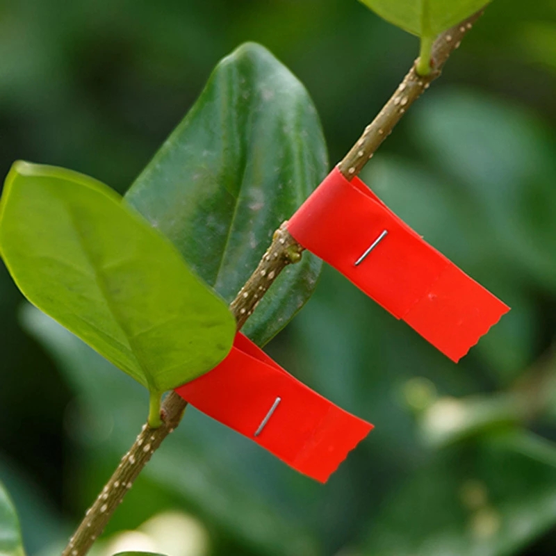 Pianta da giardino Tapetool 30 - Gardening Tools Sale recensione e prezzo